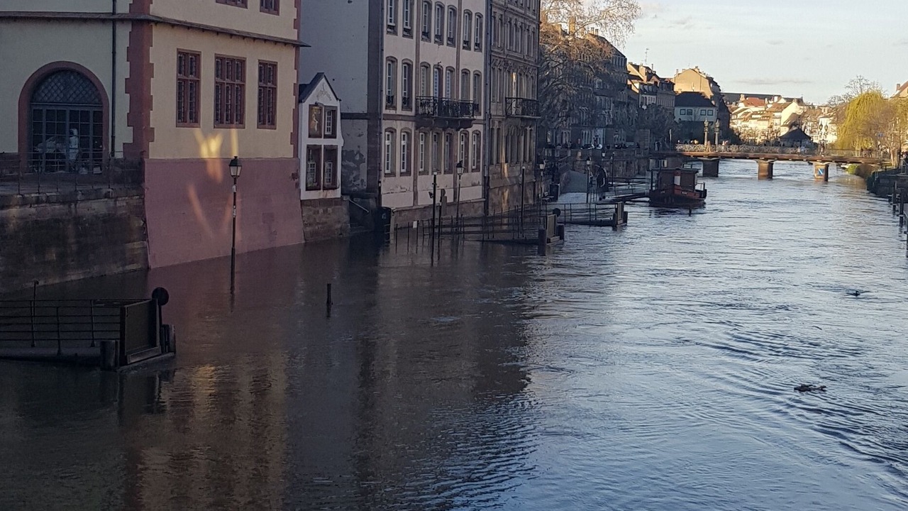 Photo of Others in Neudorf Ouest