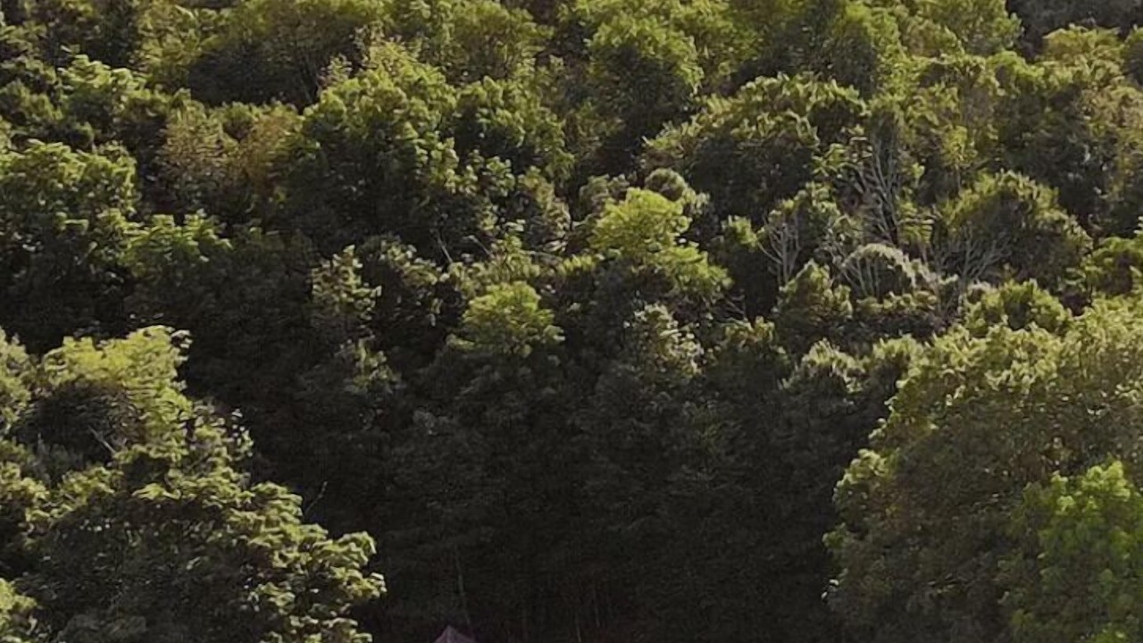 Photo of Outdoor in Hamilton