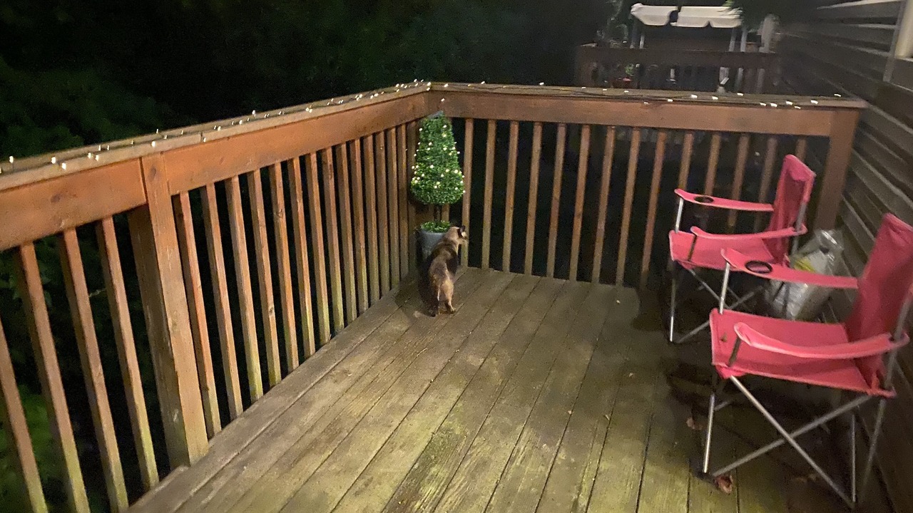 Photo of Patio Balcony in Aliquippa