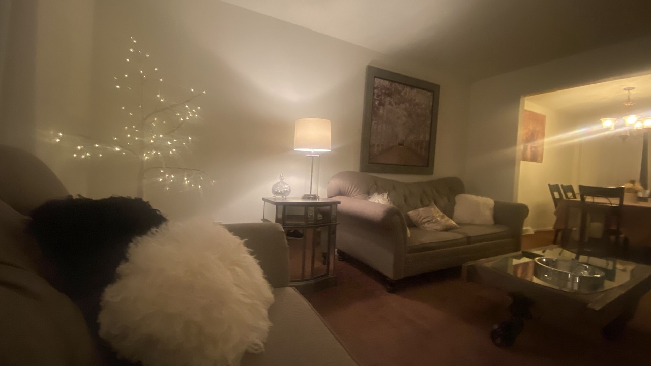 Photo of Livingroom in Aliquippa