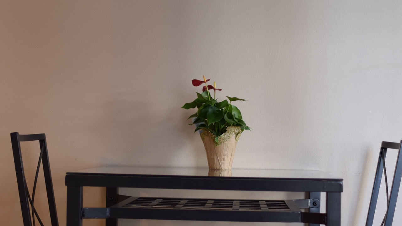 Photo of Others in Belltown