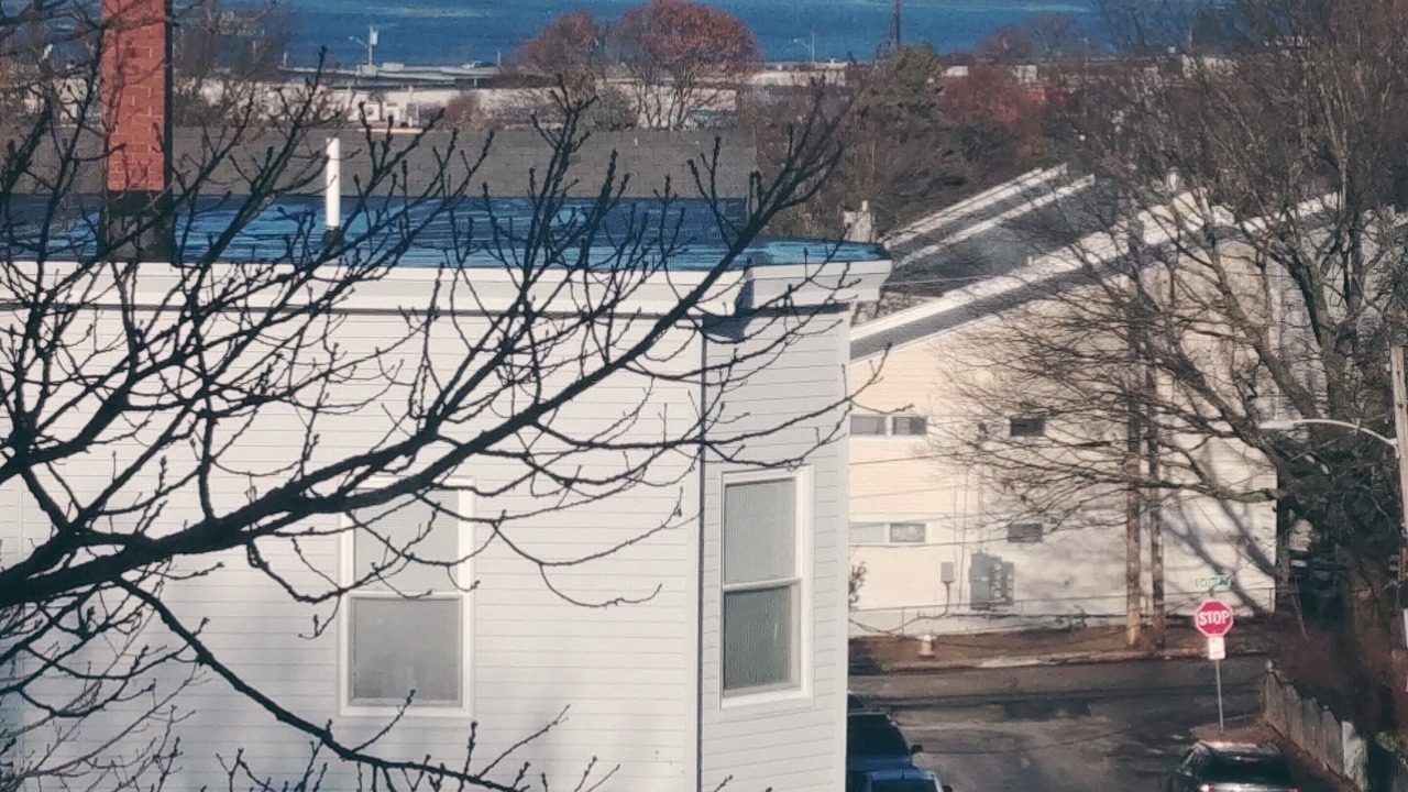 Photo of Others in East Bayside