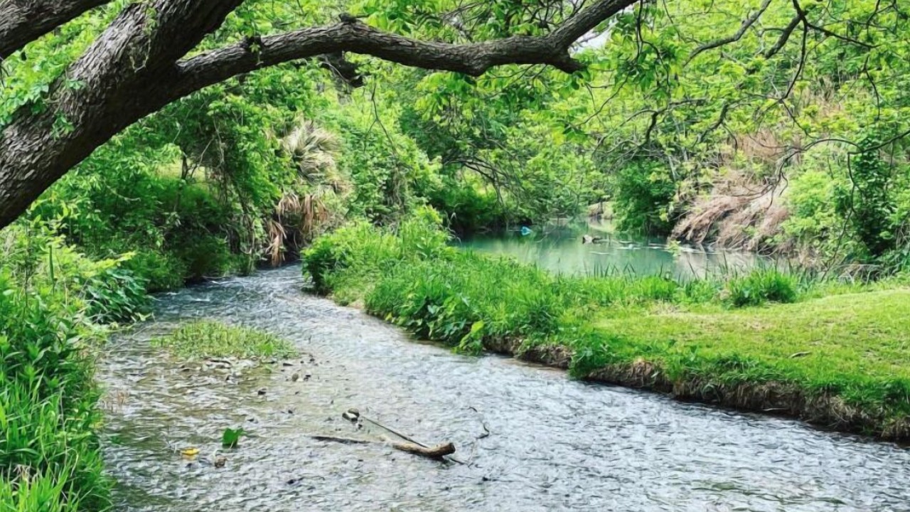 Photo of Others in Seguin