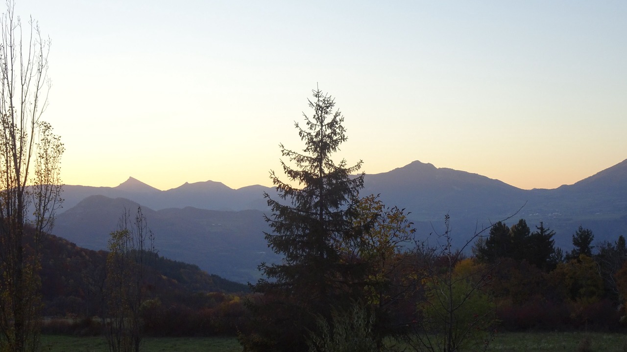 Photo of Others in Venterol