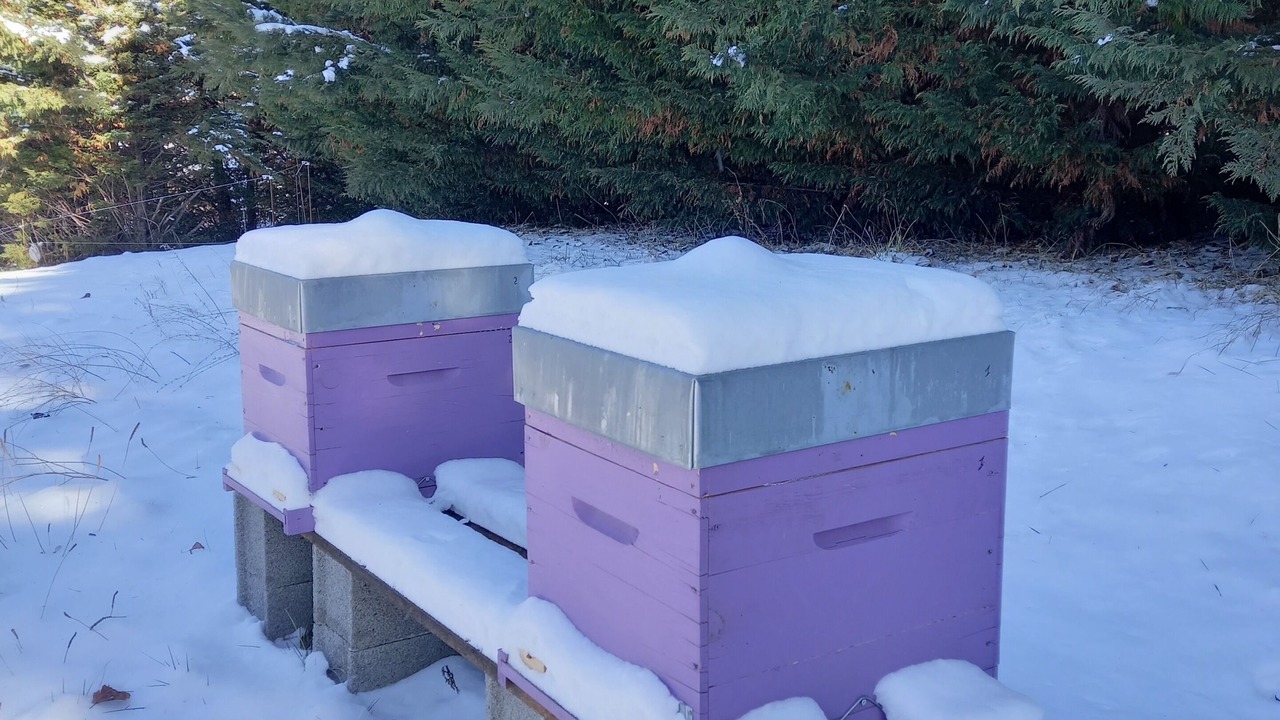 Photo of Outdoor in Venterol