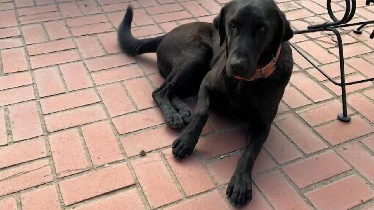 Photo of Others in Joso