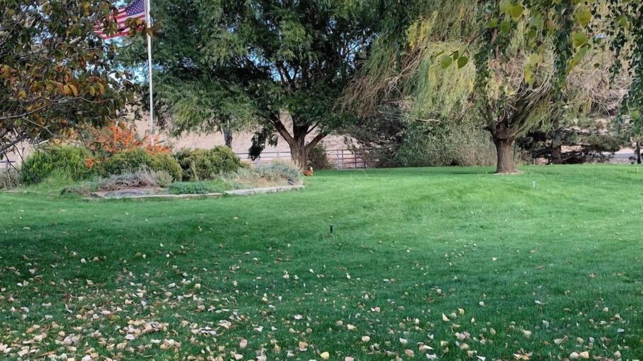 Photo of Others in Joso