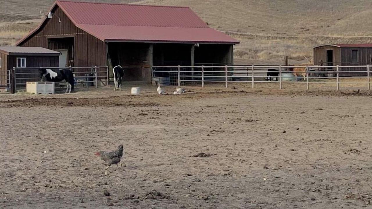 Photo of Outdoor in Joso