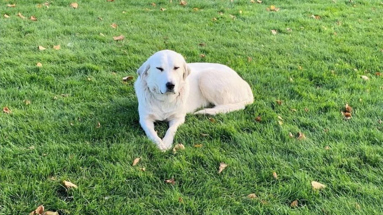 Photo of Outdoor in Joso