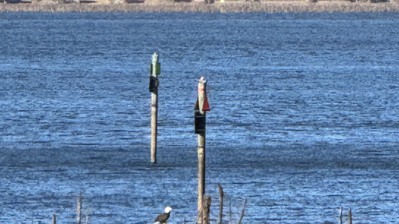 Photo of Outdoor in Homer