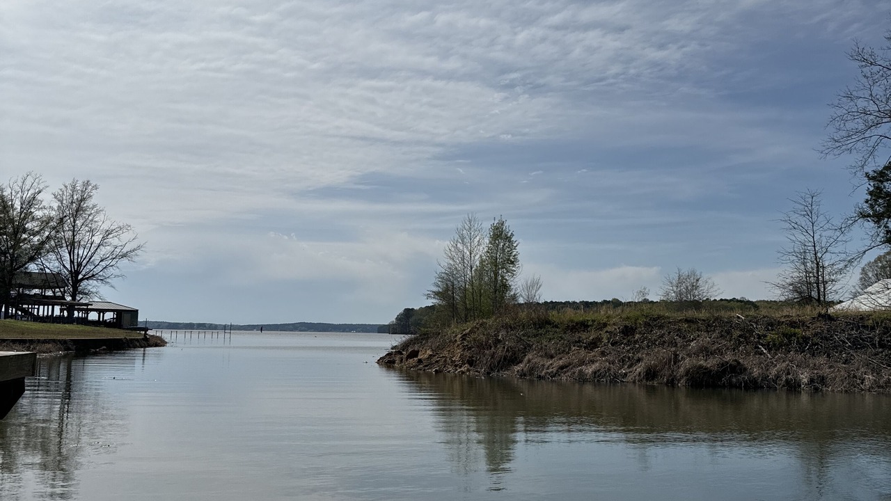 Photo of Outdoor in Homer