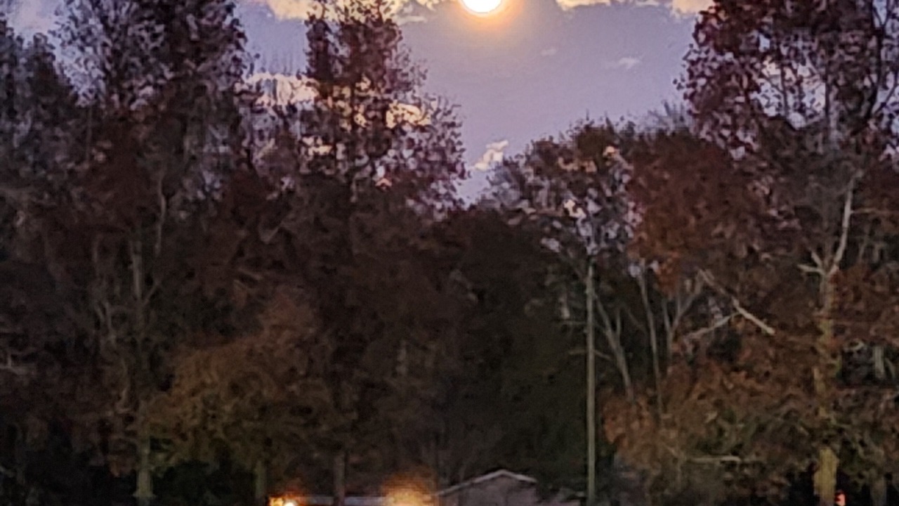 Photo of Outdoor in Negreet