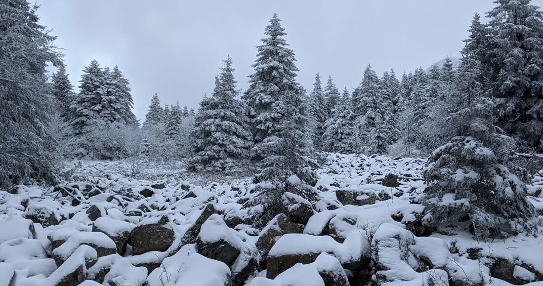 Photo of Outdoor in Sainte-Eulalie