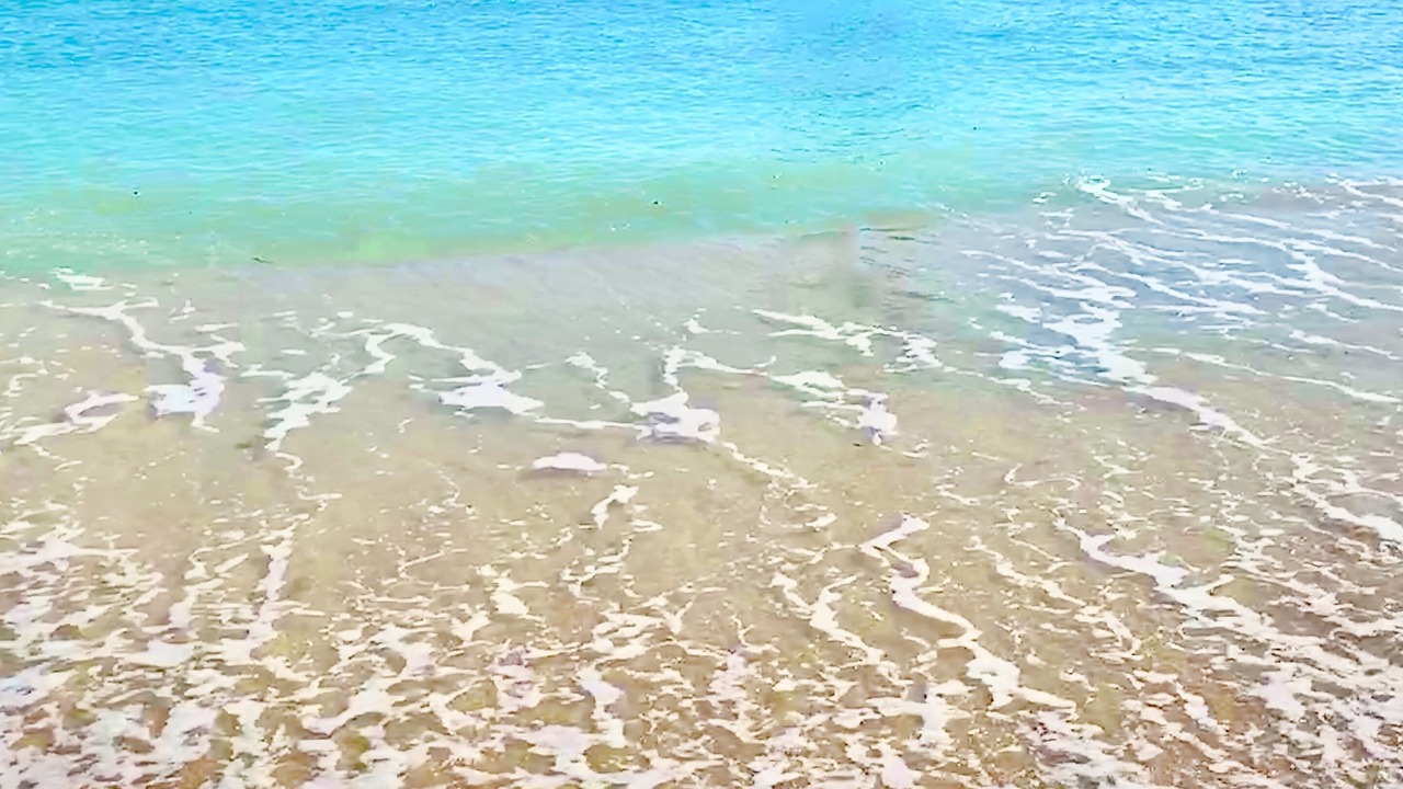 Photo of Others in Kailua