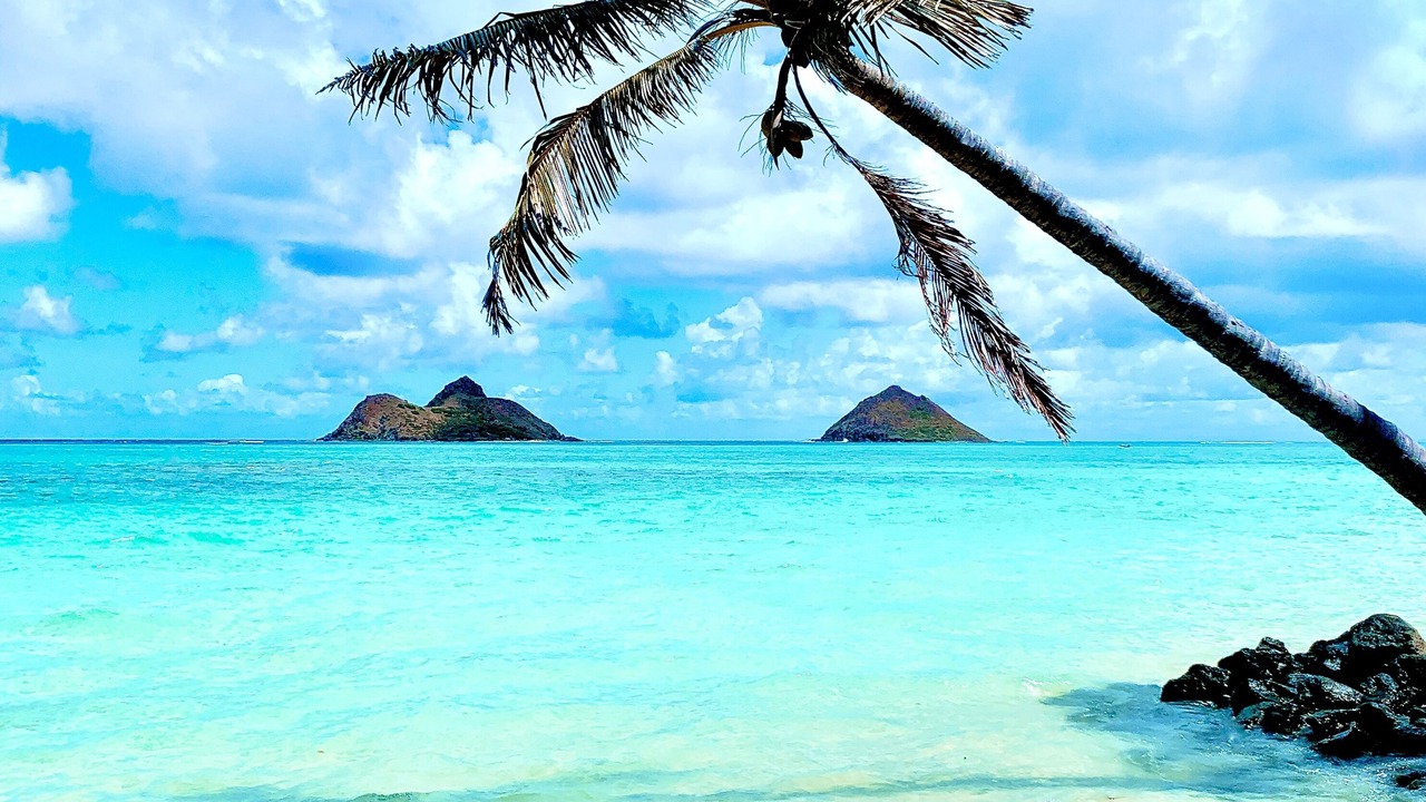 Photo of Others in Kailua