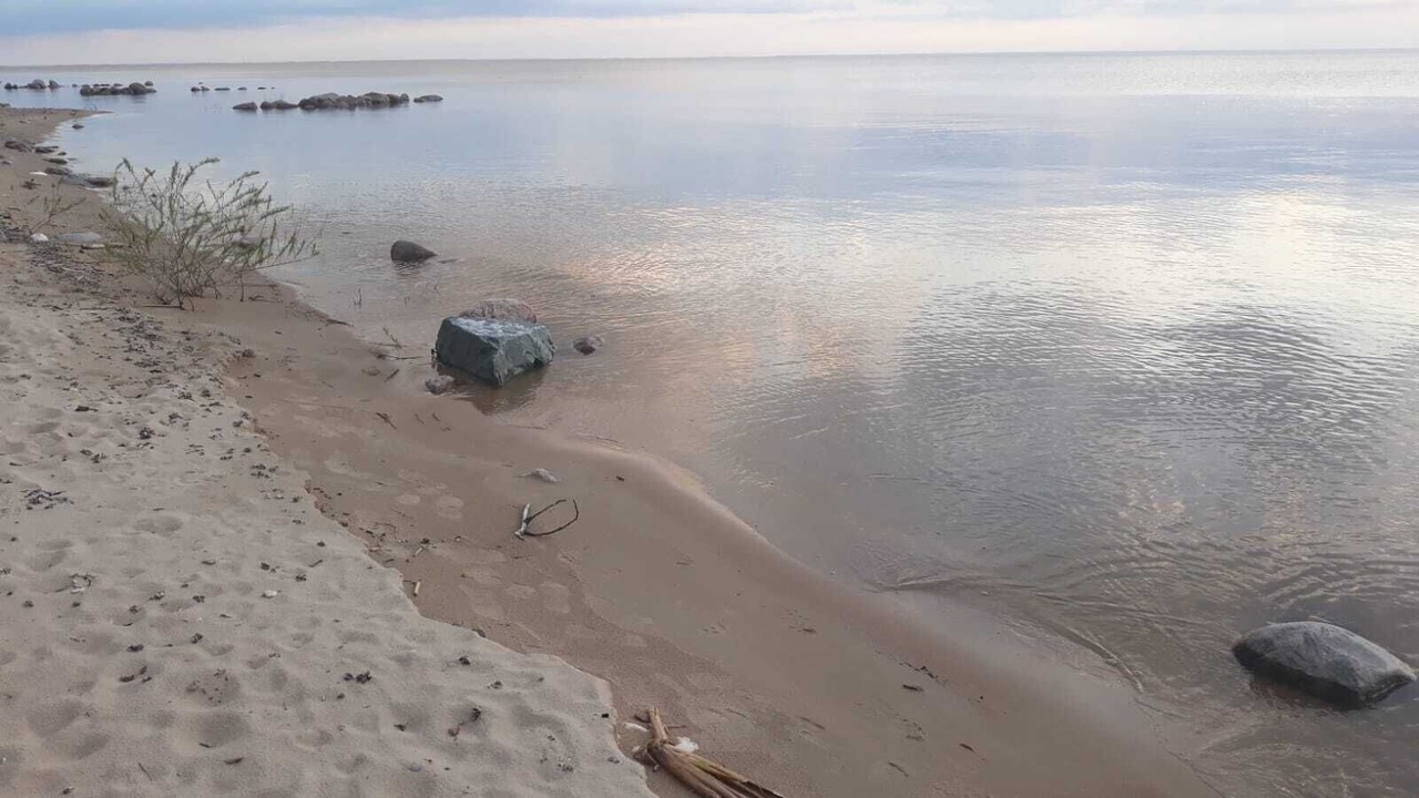 Photo of Others in Grand Beach