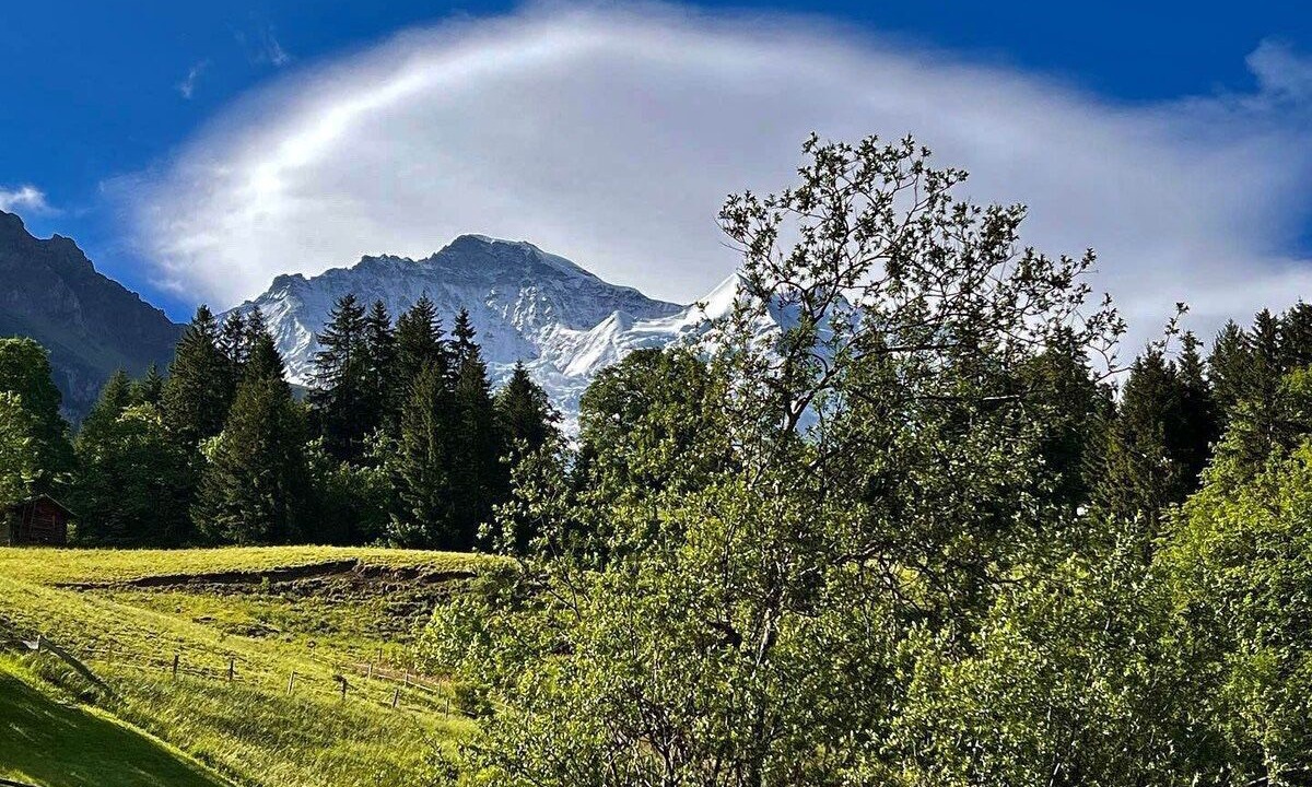 Photo of Others in Wengen