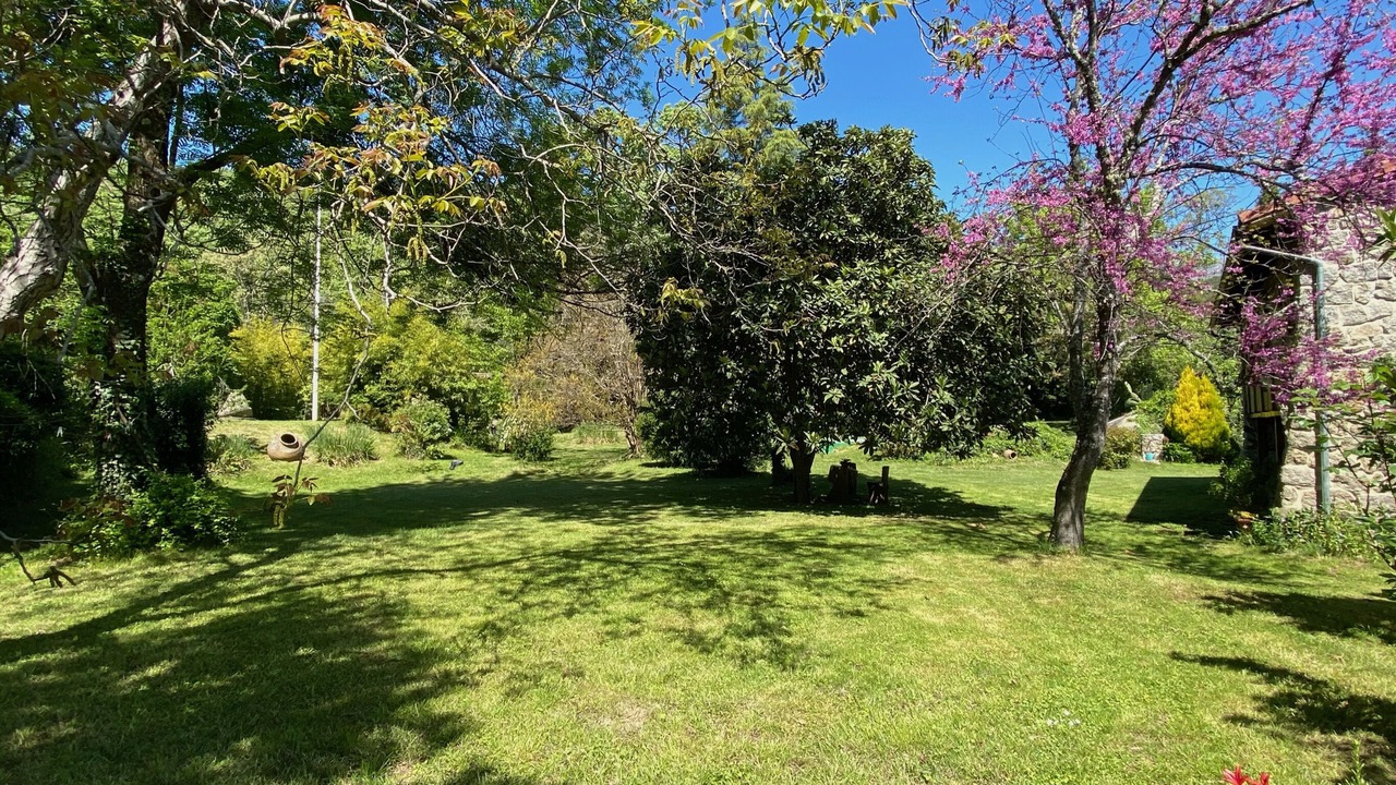 Photo of Outdoor in Arenas de San Pedro