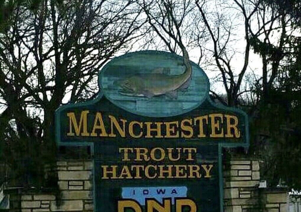 Photo of Outdoor in Manchester