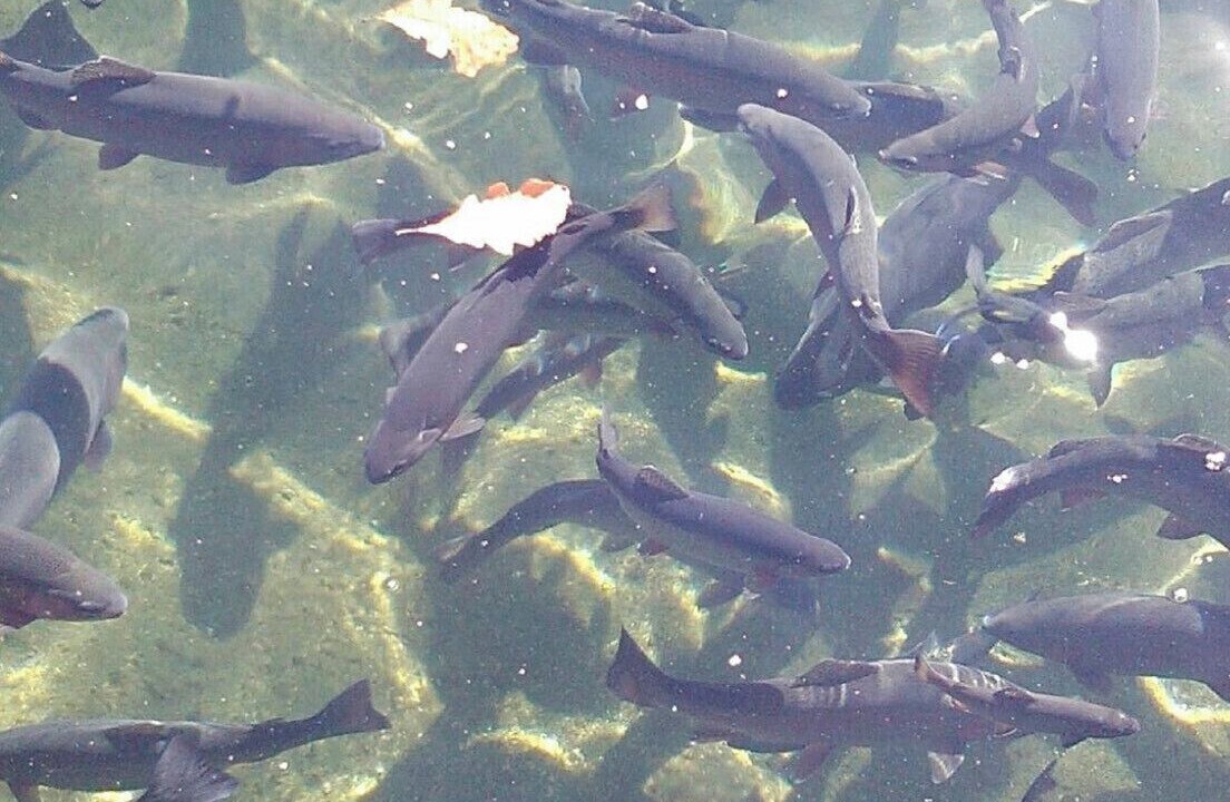 Photo of Others in Manchester