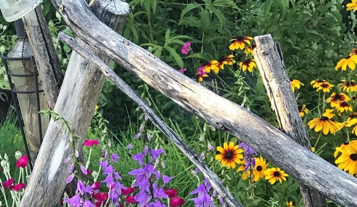 Photo of Outdoor in Darby