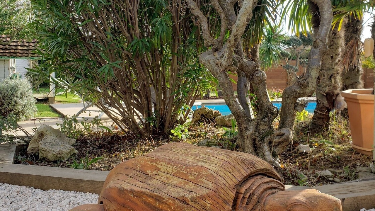 Photo of Outdoor in Nieul-sur-Mer