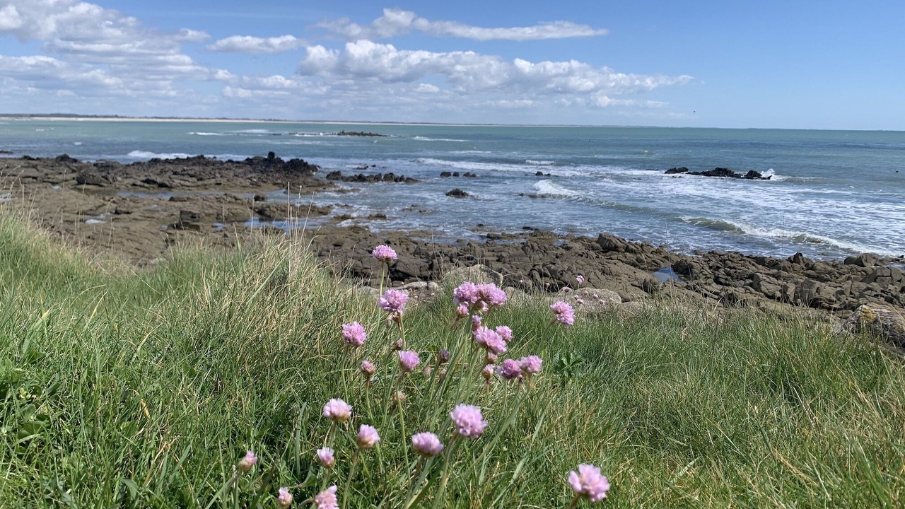 Photo of Others in Gavres