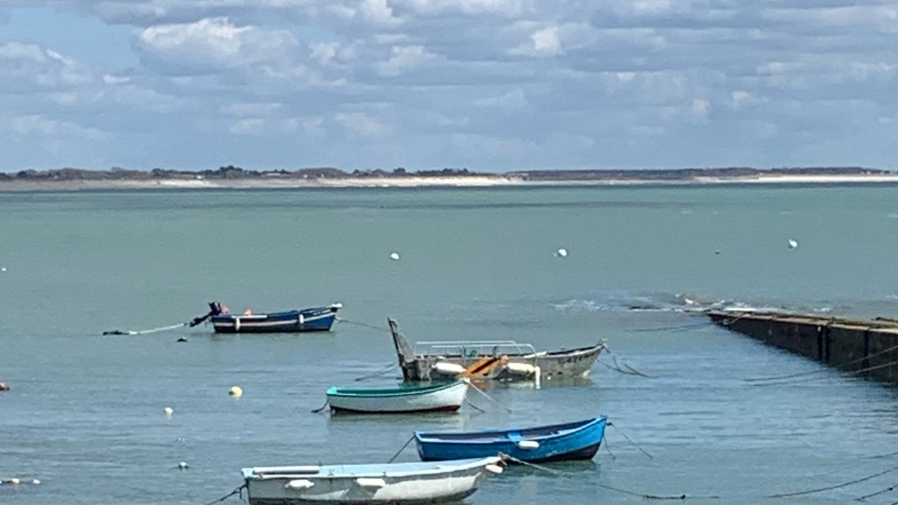 Photo of Others in Gavres