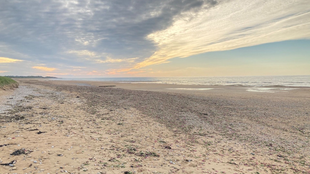 Photo of Others in Courseulles-sur-Mer