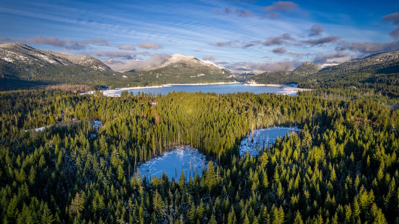 Photo of Others in Hyak