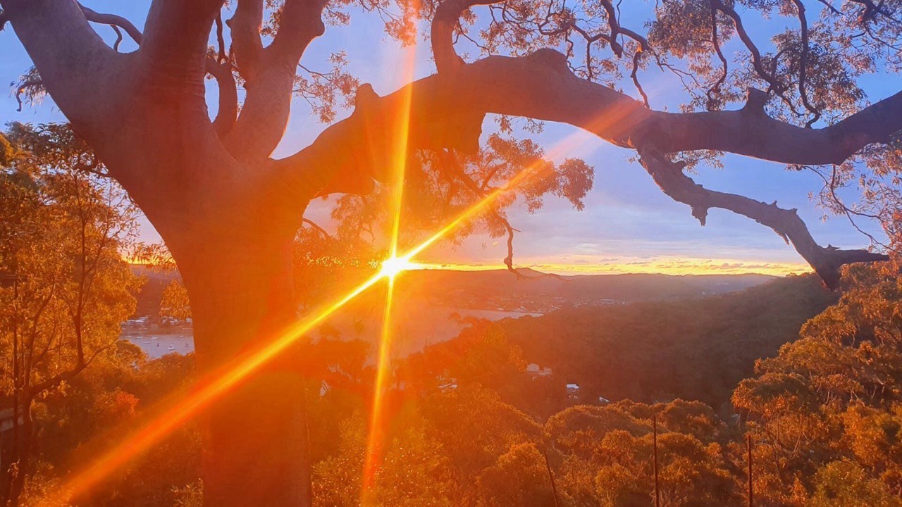 Photo of Outdoor in Killcare Heights