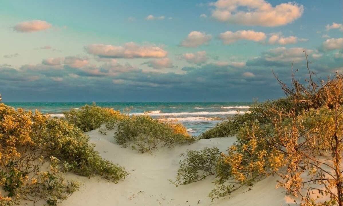 Photo of Others in Corpus Christi