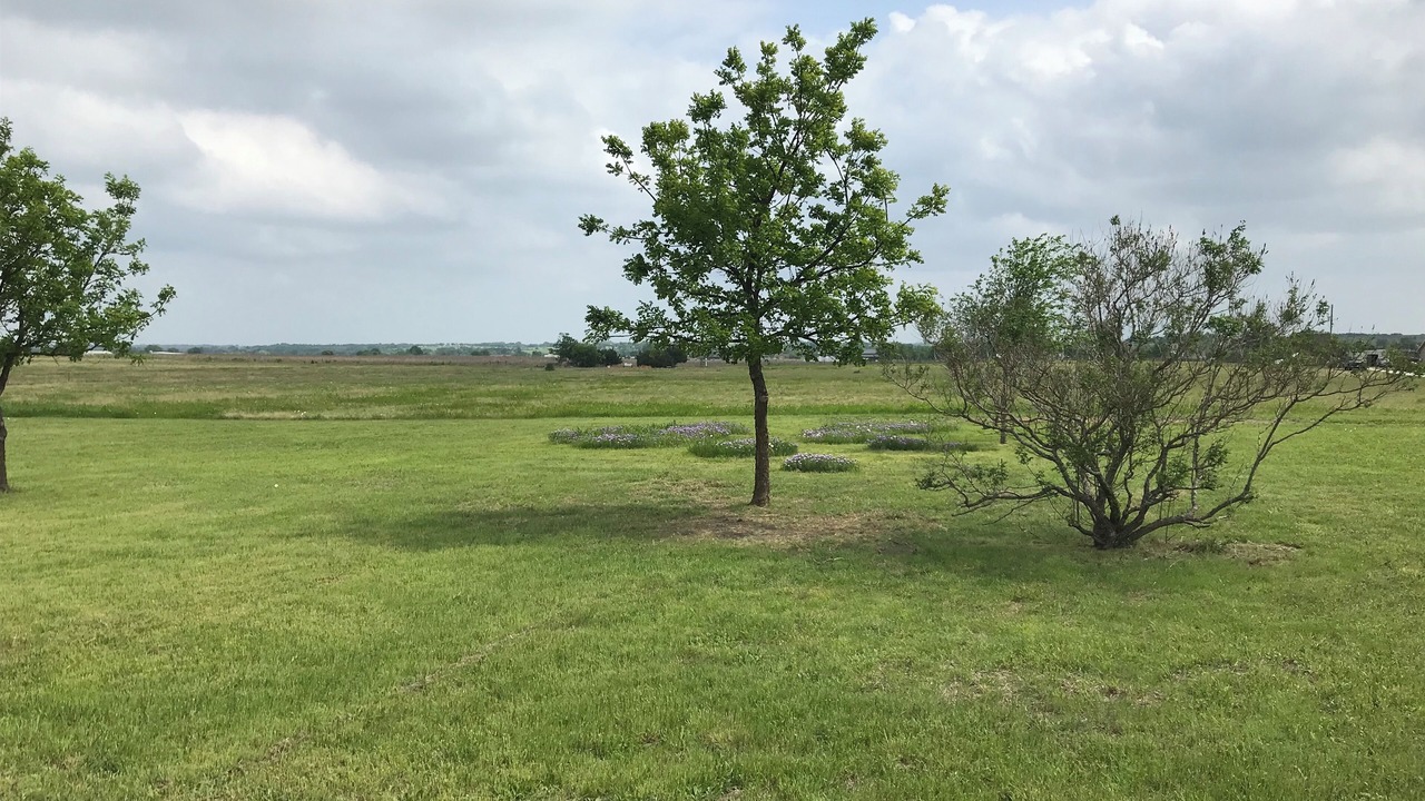 Photo of Others in Lorena