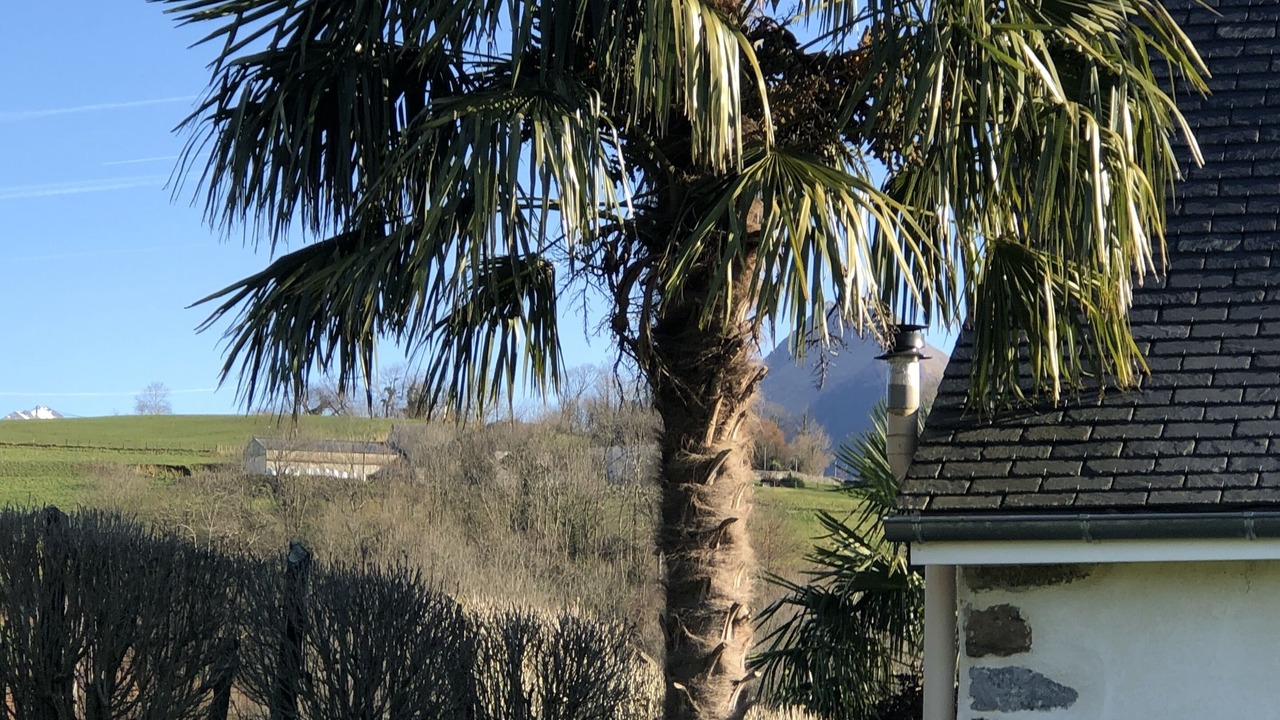 Photo of Outdoor in Arette