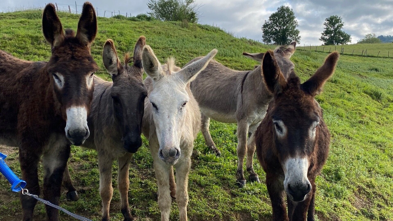 Photo of Others in Arette