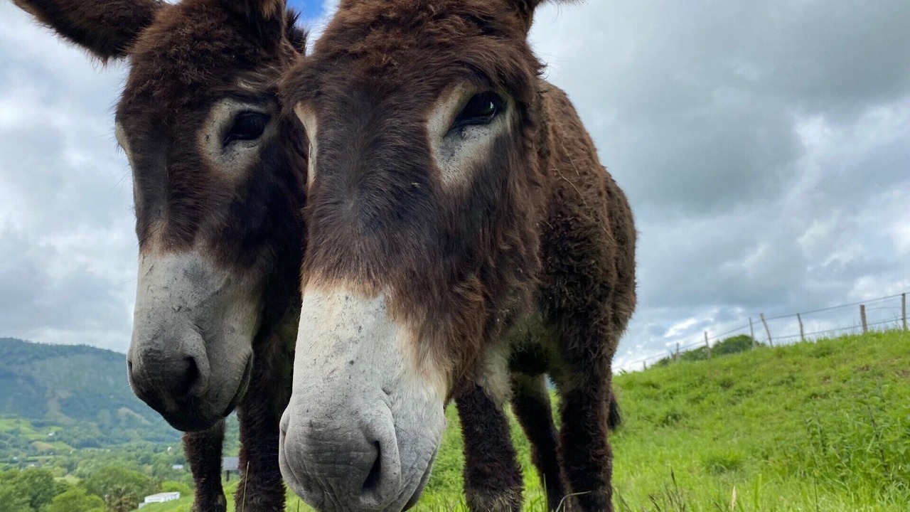 Photo of Outdoor in Arette