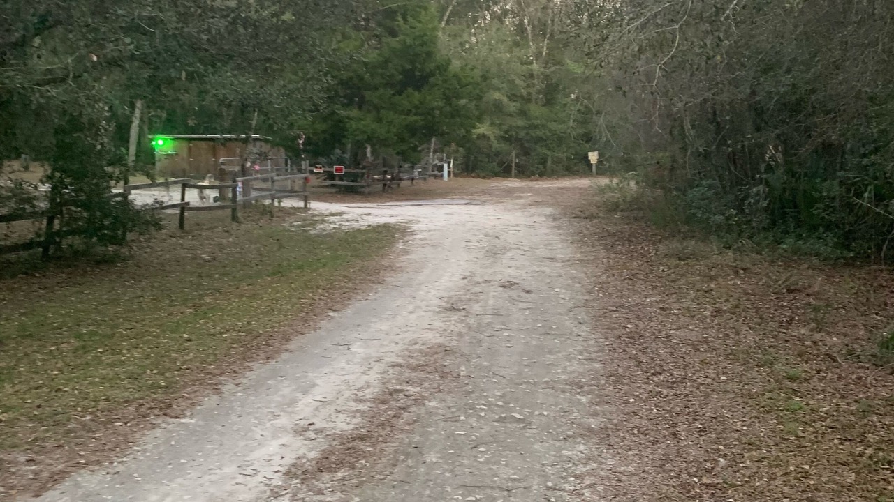 Photo of Others in Crystal River