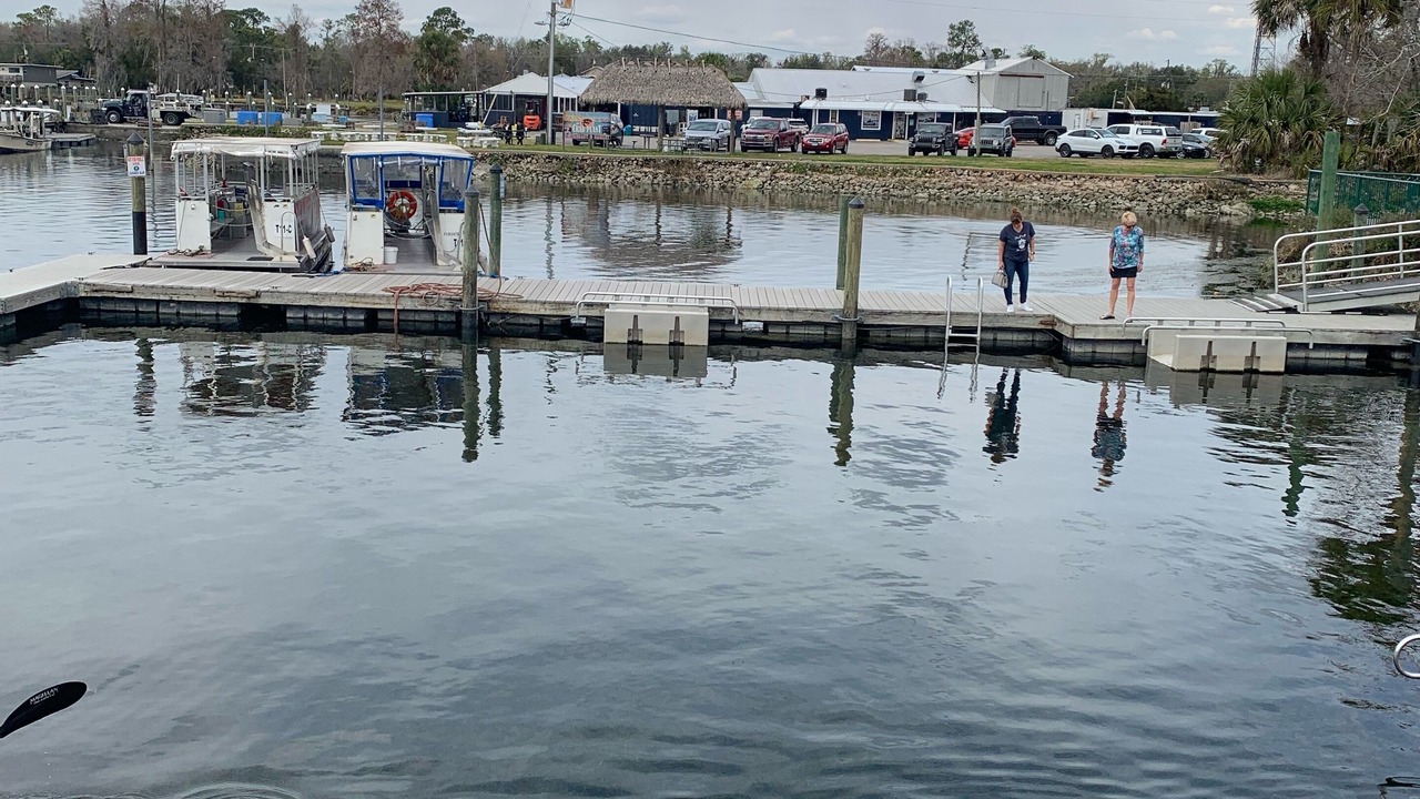 Photo of Others in Crystal River