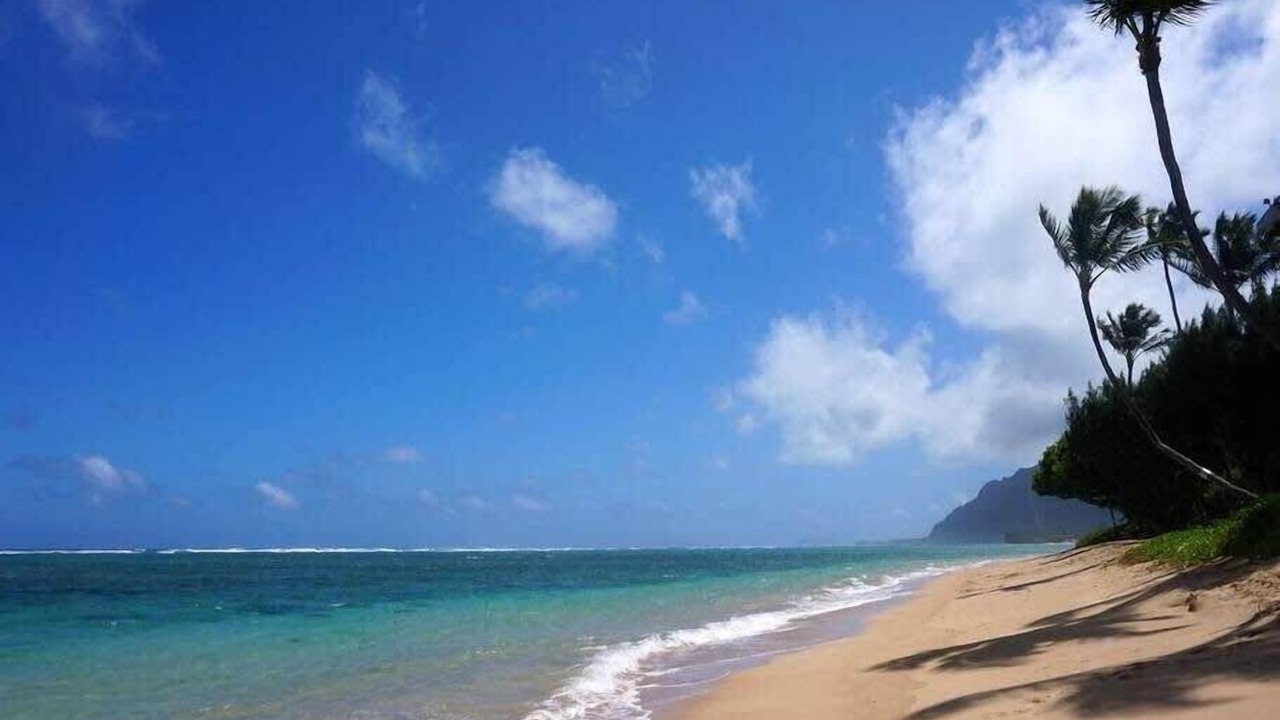 Photo of Others in Punaluu