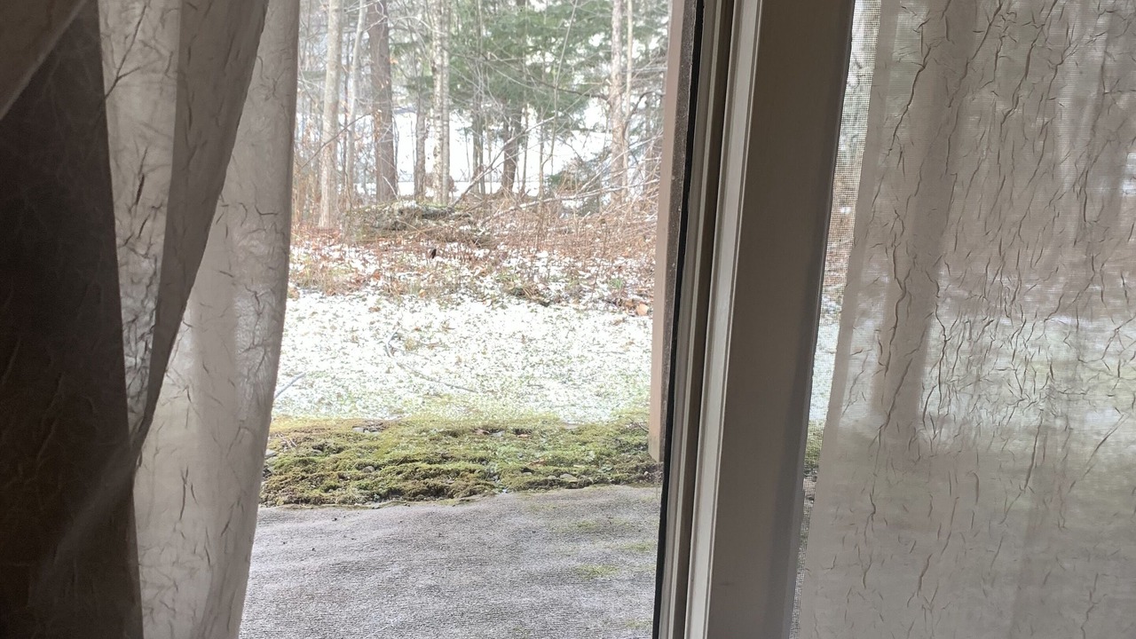 Photo of Outdoor in Hunter