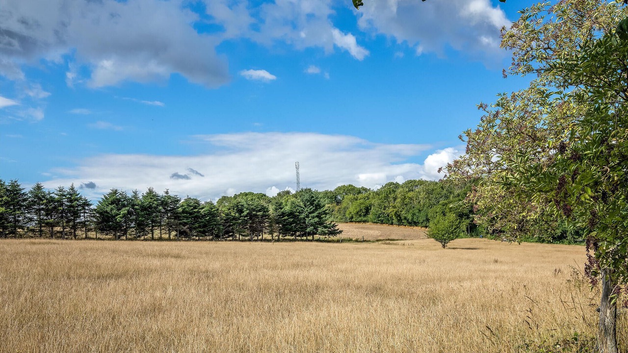 Photo of Bedroom in Listed