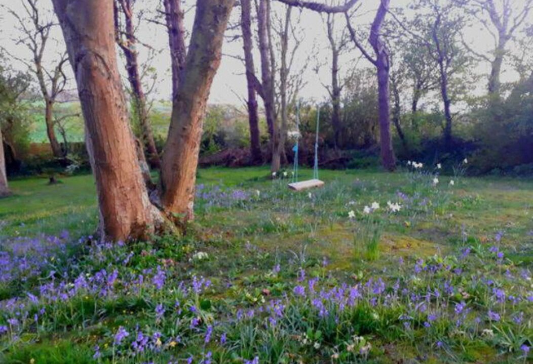 Photo of Outdoor in Saint-Jouin-Bruneval