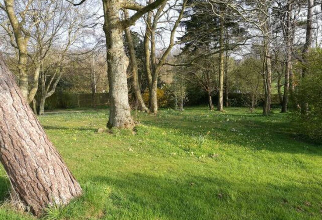 Photo of Outdoor in Saint-Jouin-Bruneval