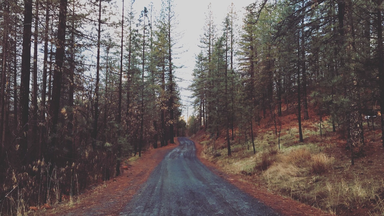 Photo of Outdoor in Middletown