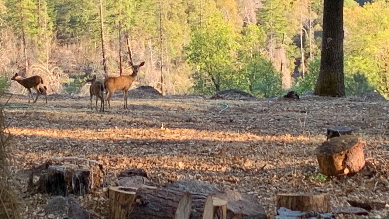 Photo of Others in Middletown