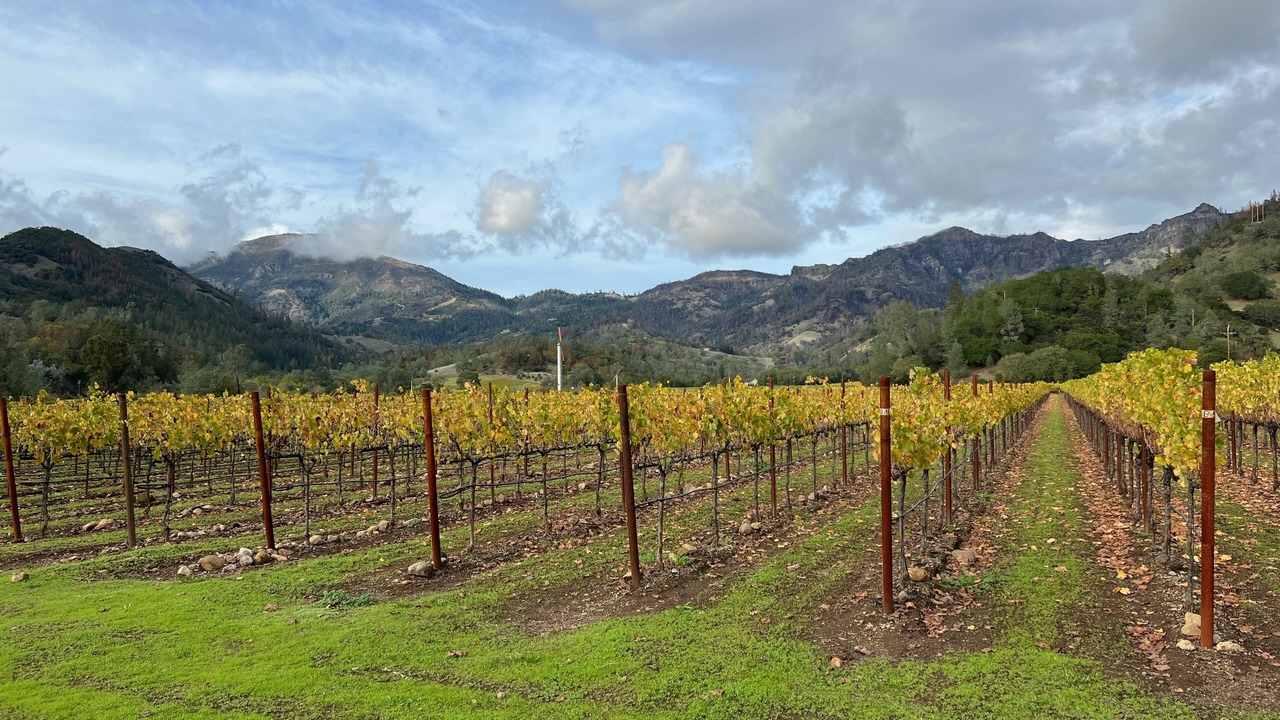 Photo of Others in Middletown