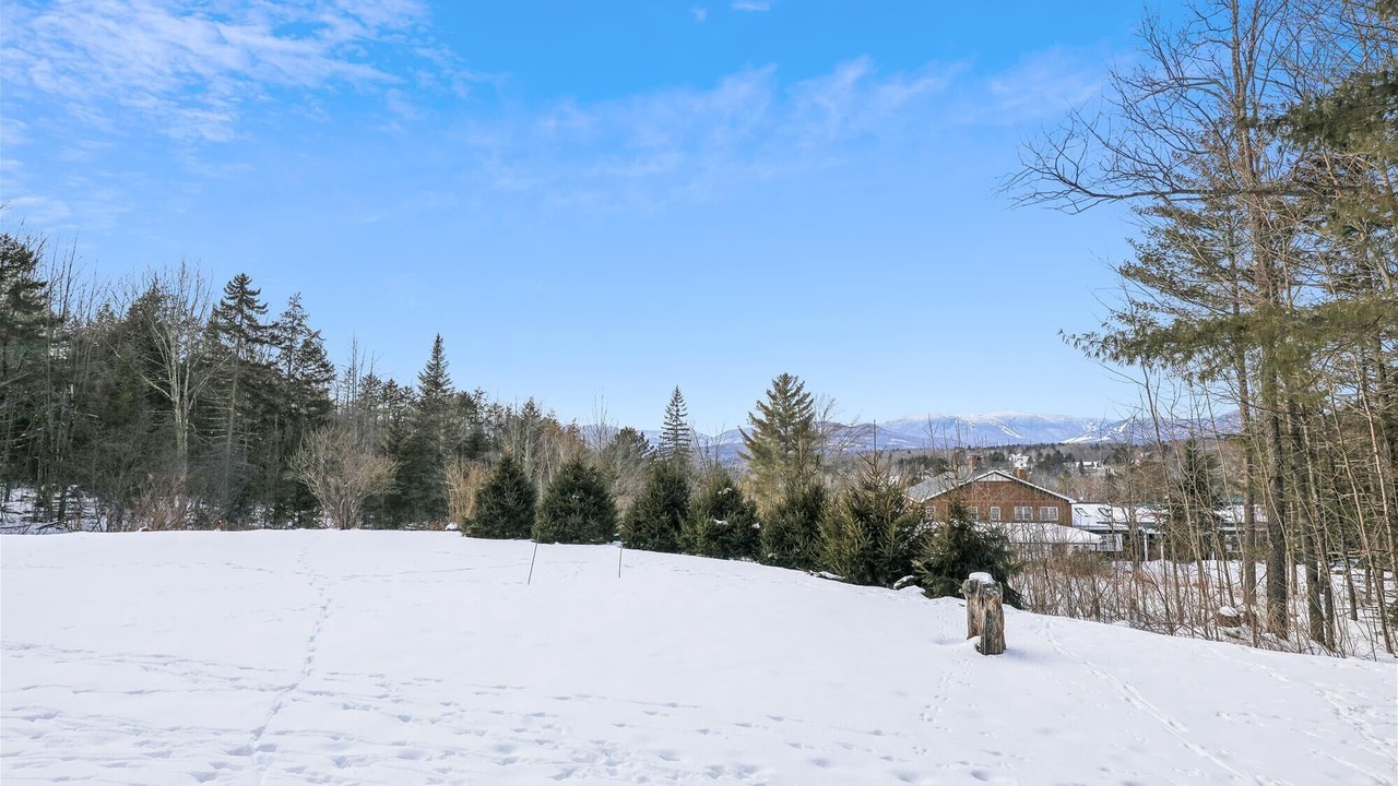 Photo of Others in Stowe Hollow