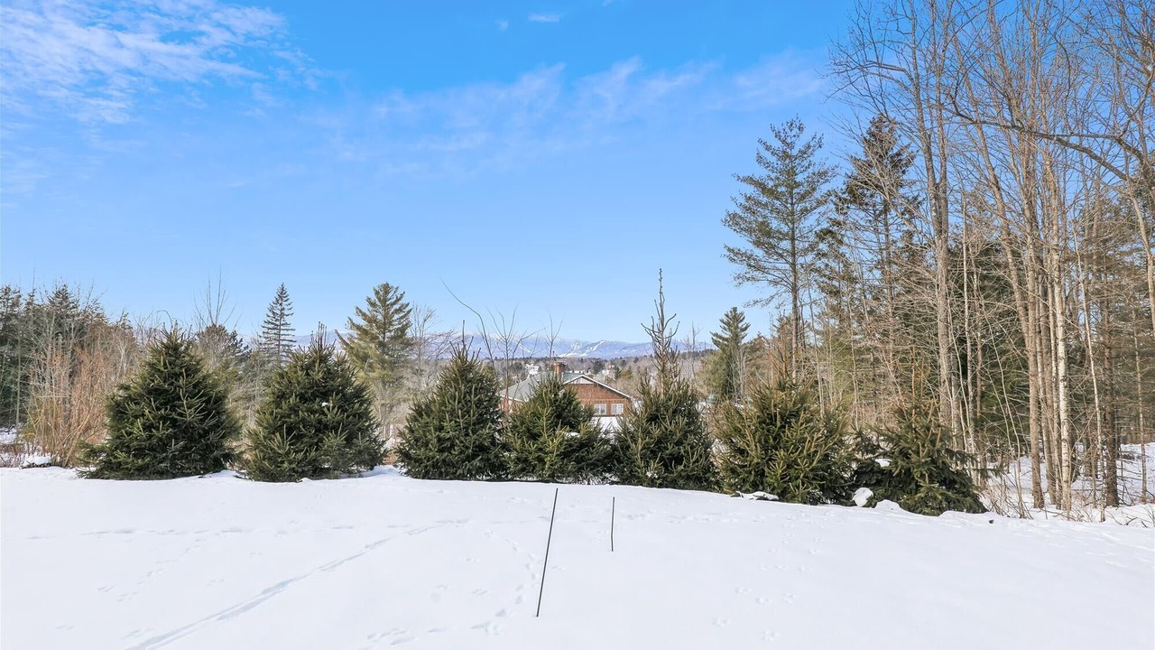 Photo of Others in Stowe Hollow