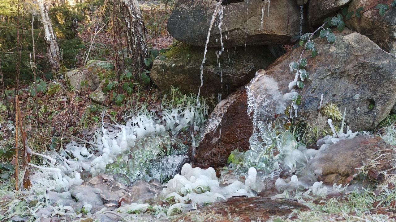 Photo of Outdoor in Tendon