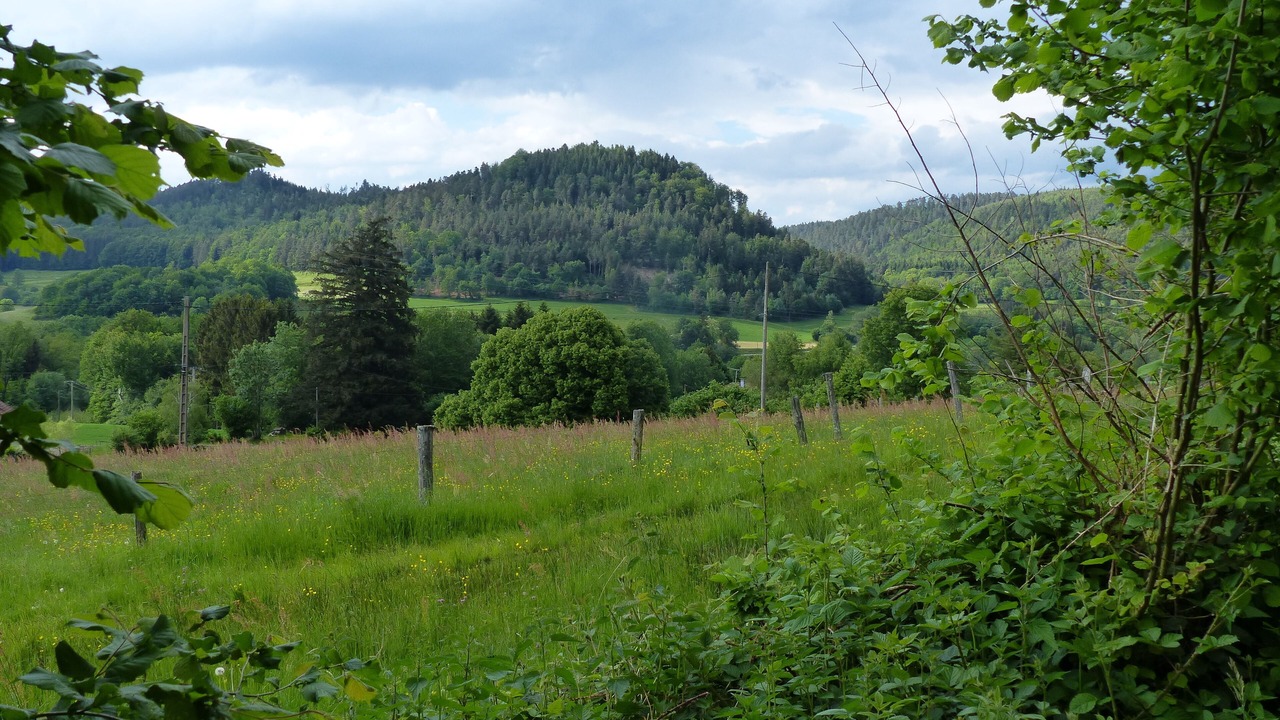Photo of Outdoor in Tendon